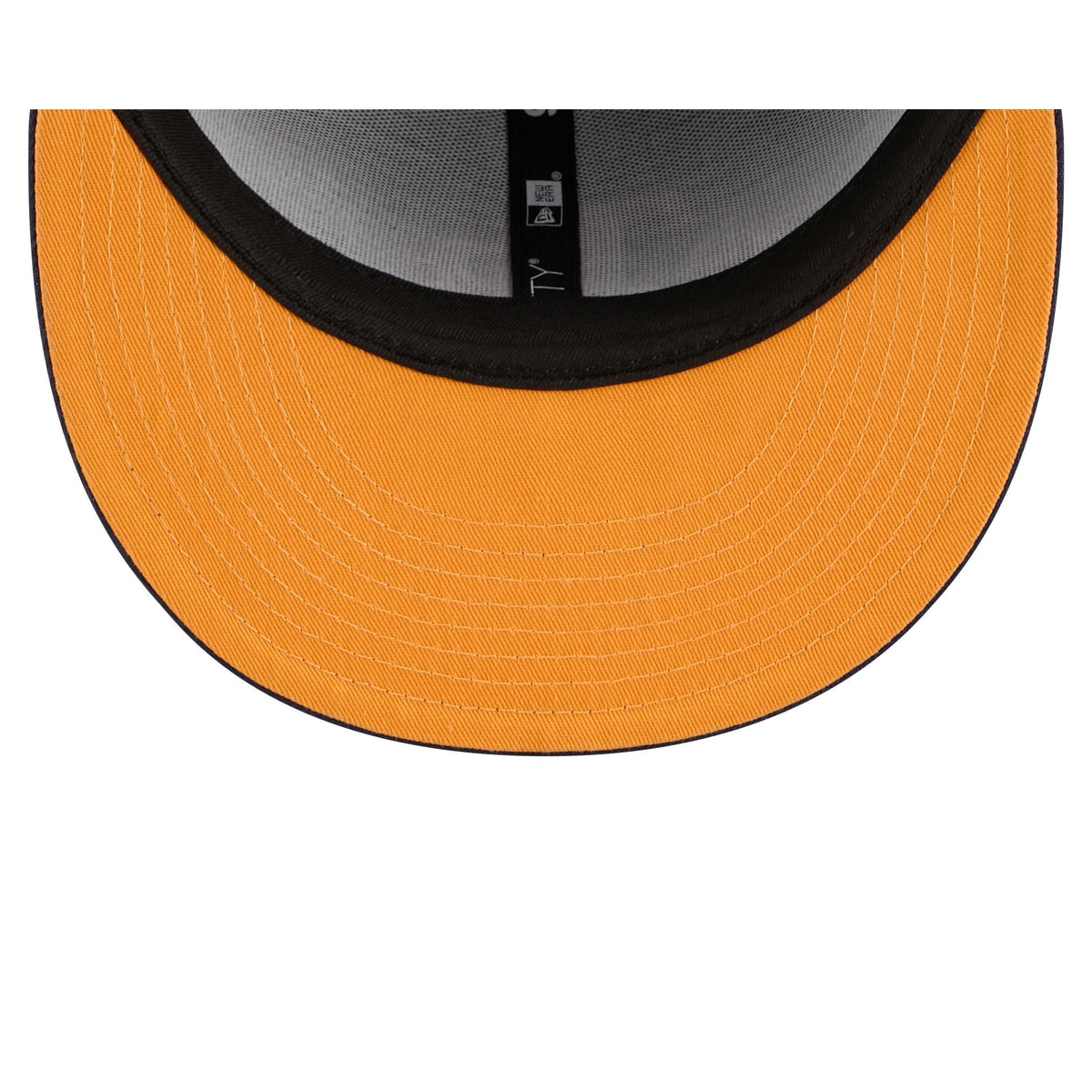 Tampa Bay Rays Daffy Duck Catch 9FIFTY Snapback Hat
