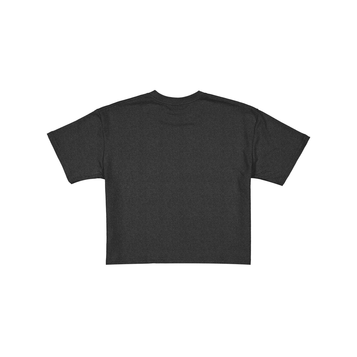 Pittsburgh Steelers Women's Throwback Cropped Graphic T-Shirt
