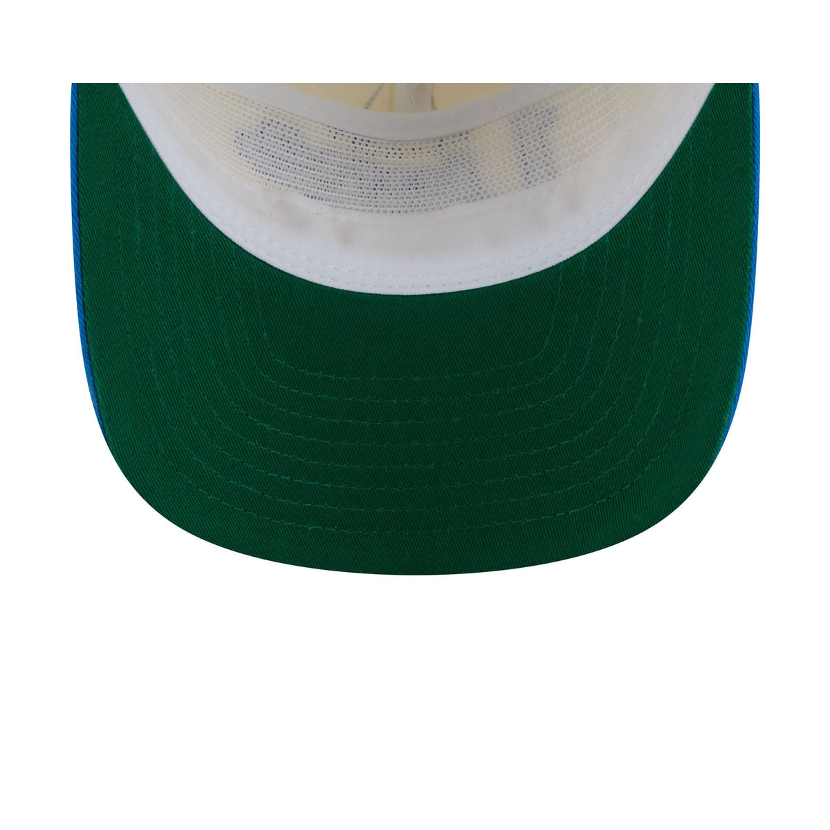 Detroit Lions Chrome White Pinstripe 19TWENTY Snapback Hat