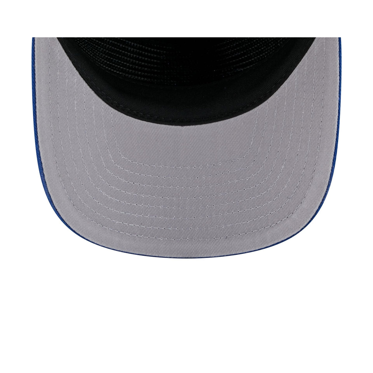 Toronto Blue Jays Arched Graphic 19TWENTY Snapback Hat