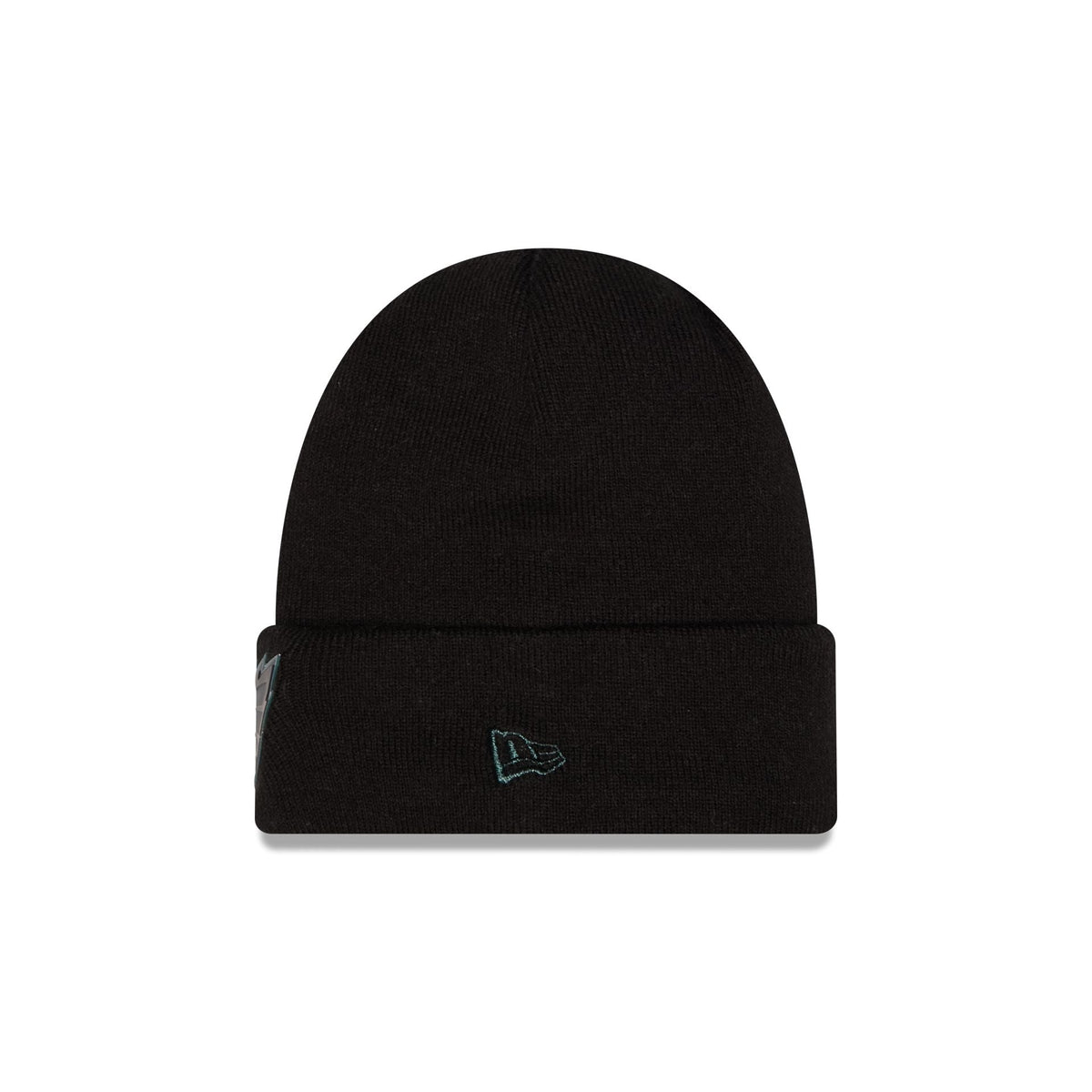 Philadelphia Eagles All Black Beanie Hat
