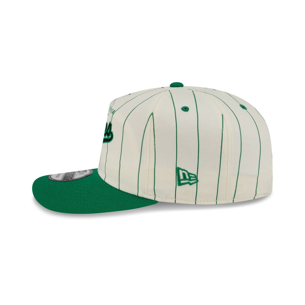 Philadelphia Eagles Chrome White Pinstripe 19TWENTY Snapback Hat