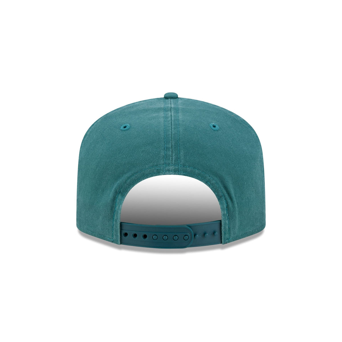 Philadelphia Eagles Arched Graphic 19TWENTY Snapback Hat