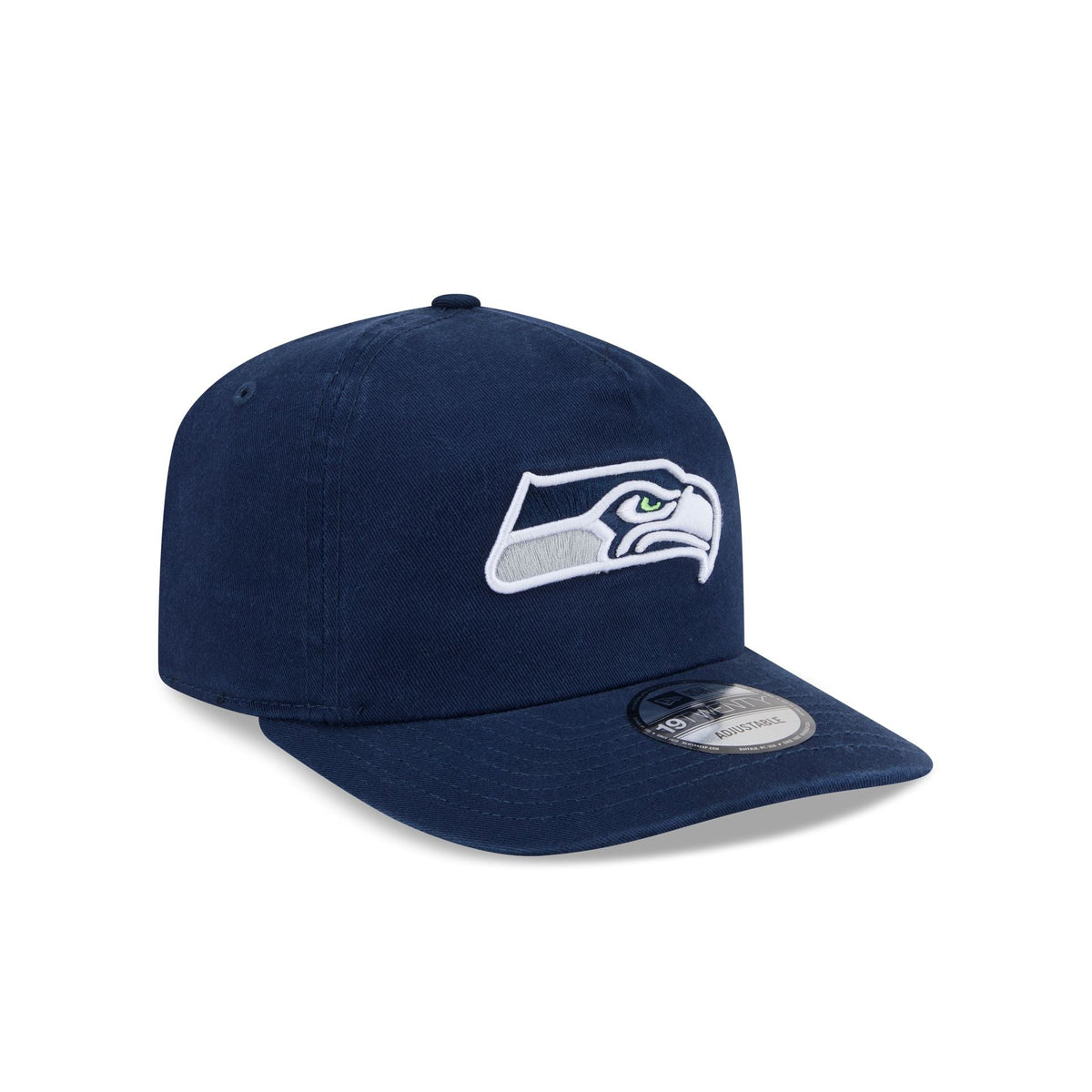 Seattle Seahawks Team 19TWENTY Snapback Hat