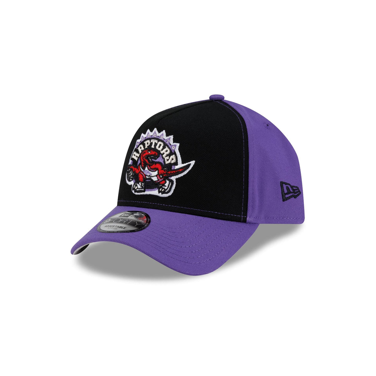 Toronto Raptors Hardwood Classics 2000s 9FORTY A-Frame Snapback Hat